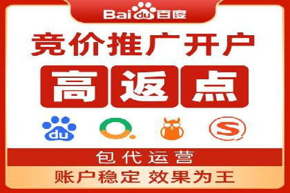 百度广告推广案例解析